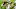 Najee Harris, 2021 NFL Draft, Denver Broncos Najee Harris, 2021 NFL Draft, Denver Broncos