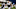 Denver Broncos Denver Broncos