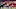 Denver Broncos, Teddy Bridgewater Denver Broncos, Teddy Bridgewater