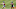 Denver Broncos Denver Broncos