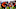 Demaryius Thomas Demaryius Thomas