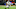 Denver Broncos Denver Broncos