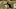 Carlos Basham Jr., Denver Broncos Carlos Basham Jr., Denver Broncos
