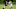 Denver Broncos, Geno Atkins Denver Broncos, Geno Atkins