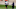 Mark Barron, Denver Broncos Mark Barron, Denver Broncos