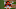 Denver Broncos, Denver Broncos,