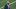 Denver Broncos, New England Patriots Denver Broncos, New England Patriots