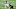 Nick Vannett, Denver Broncos Nick Vannett, Denver Broncos