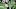 Denver Broncos, Jerry Jeudy Denver Broncos, Jerry Jeudy