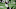 Denver Broncos, Denver Broncos,