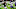 Jalyn Holmes, Denver Broncos Jalyn Holmes, Denver Broncos