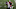 Denver Broncos, Albert Okwuegbunam Denver Broncos, Albert Okwuegbunam