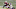 James White, Denver Broncos James White, Denver Broncos