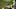 Denver Broncos, DaeSean Hamilton Denver Broncos, DaeSean Hamilton