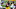 Denver Broncos, Shaun Beyer Denver Broncos, Shaun Beyer