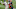 DeMarcus Walker, Denver Broncos DeMarcus Walker, Denver Broncos