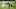 Jayon Brown, Denver Broncos Jayon Brown, Denver Broncos