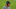 Vic Fangio, Denver Broncos Vic Fangio, Denver Broncos