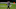 Vic Fangio, Denver Broncos Vic Fangio, Denver Broncos