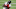 Duke Johnson, Denver Broncos Duke Johnson, Denver Broncos