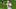 Josh Allen Josh Allen