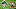 Denver Broncos, Jakeem Grant Denver Broncos, Jakeem Grant