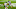 Kyle Fuller, Denver Broncos Kyle Fuller, Denver Broncos