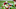 Haason Reddick, Denver Broncos Haason Reddick, Denver Broncos