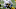 Denver Broncos, Avery Williamson Denver Broncos, Avery Williamson