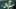 Denver Broncos, Aaron Rodgers Denver Broncos, Aaron Rodgers