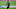 Denver Broncos, Russell Wilson Denver Broncos, Russell Wilson