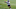 Denver Broncos, Mac McCain Denver Broncos, Mac McCain