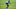 Denver Broncos Denver Broncos