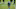 Denver Broncos, Vic Fangio Denver Broncos, Vic Fangio