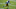 Denver Broncos Denver Broncos