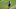 Denver Broncos, Von Miller Denver Broncos, Von Miller