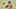 Denver Broncos, Caden Sterns Denver Broncos, Caden Sterns