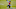 Ronald Darby, Denver Broncos Ronald Darby, Denver Broncos