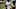 Artie Burns, Denver Broncos Artie Burns, Denver Broncos