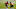 Curtis Robinson, Peter Kalambayi, Denver Broncos Curtis Robinson, Peter Kalambayi, Denver Broncos