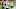 Denver Broncos Denver Broncos