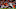 Denver Broncos Denver Broncos