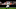 Denver Broncos Denver Broncos