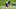 Denver Broncos Denver Broncos
