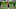 Denver Broncos Denver Broncos