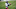 Denver Broncos Denver Broncos