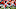 Oct 25, 2020; Denver, Colorado, USA; Kansas City Chiefs defensive tackle Chris Jones (95) sacks Denver Broncos quarterback Drew Lock (3) in the first half at Empower Field at Mile High. Mandatory Credit: Ron Chenoy-USA TODAY Sports Oct 25, 2020; Denver, Colorado, USA; Kansas City Chiefs defensive tackle Chris Jones (95) sacks Denver Broncos quarterback Drew Lock (3) in the first half at Empower Field at Mile High. Mandatory Credit: Ron Chenoy-USA TODAY Sports