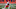 Oct 25, 2020; Denver, Colorado, USA; Kansas City Chiefs wide receiver Byron Pringle (13) returns a punt for a touchdown in the first half against the Denver Broncos at Empower Field at Mile High. Mandatory Credit: Ron Chenoy-USA TODAY Sports Oct 25, 2020; Denver, Colorado, USA; Kansas City Chiefs wide receiver Byron Pringle (13) returns a punt for a touchdown in the first half against the Denver Broncos at Empower Field at Mile High. Mandatory Credit: Ron Chenoy-USA TODAY Sports