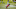 Denver Broncos outside linebacker Bradley Chubb received a rating of 85 in Madden 22. Denver Broncos outside linebacker Bradley Chubb received a rating of 85 in Madden 22.
