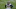 Bradley Chubb Bradley Chubb